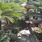 B&B Citrus Garden 아베트라나