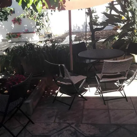 Citrus Garden