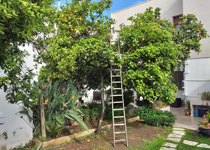 Citrus Garden Bed & Breakfast *