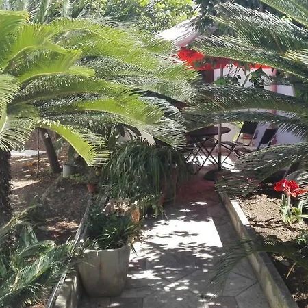 Bed and Breakfast Citrus Garden Avetrana