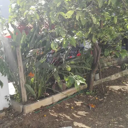 Citrus Garden * Avetrana