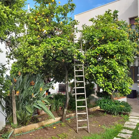 Citrus Garden Bed and Breakfast *