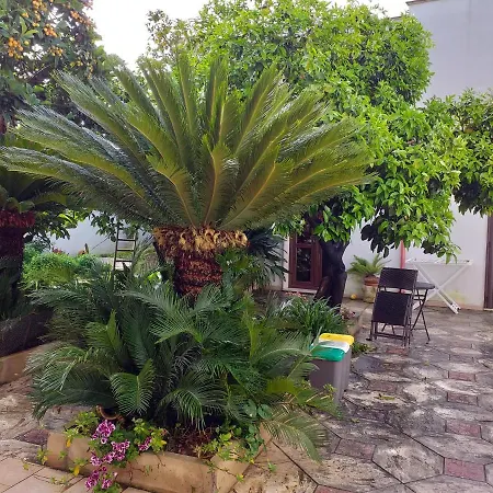 Citrus Garden Bed & Breakfast Avetrana