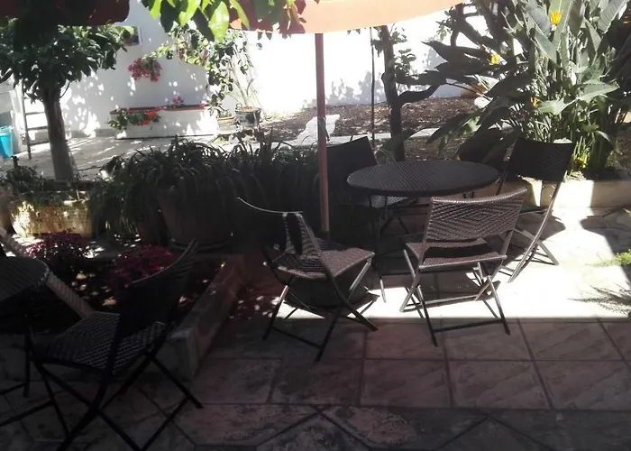 Citrus Garden