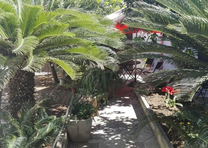 فندق مبيت وإفطار Citrus Garden أفيترانا