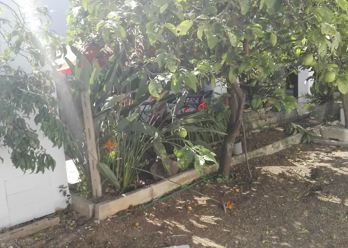 Citrus Garden * أفيترانا