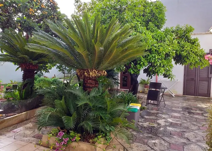 Citrus Garden فندق مبيت وإفطار أفيترانا